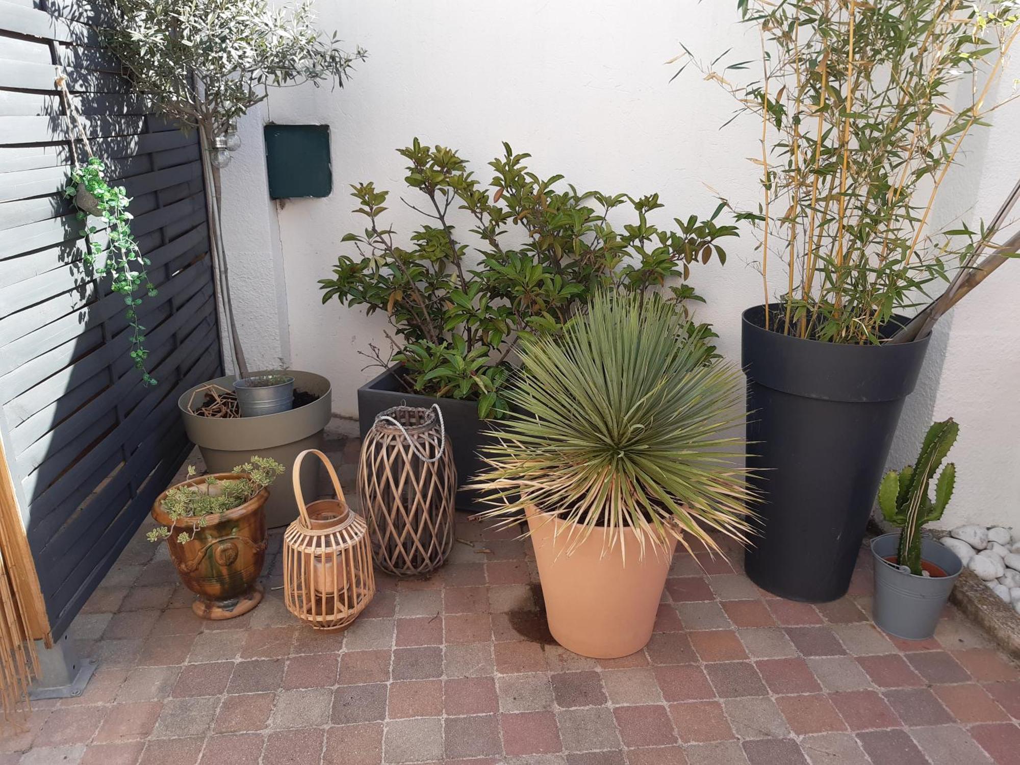 Grand Studio Avec Patio Marseilles Exterior foto